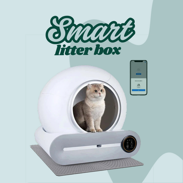 Automatic Smart Cat Litter Box | Self Cleaning