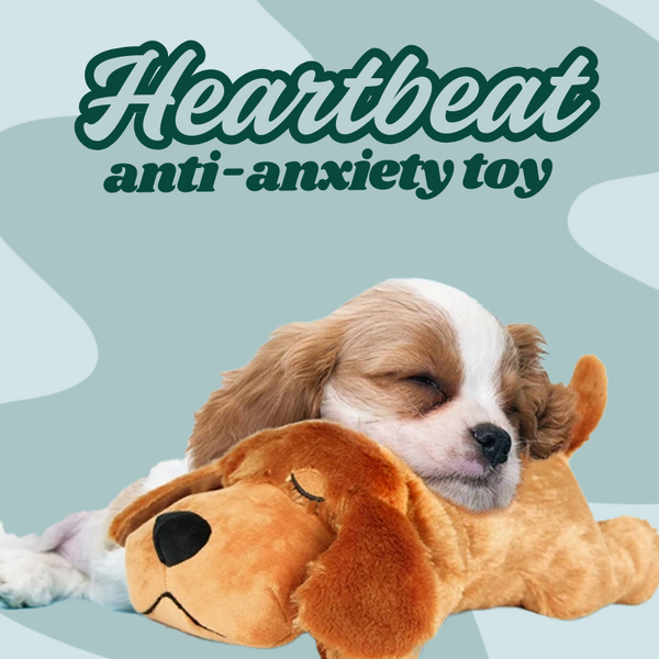 Dog Heartbeat Toy | Puppy Behavioral Training