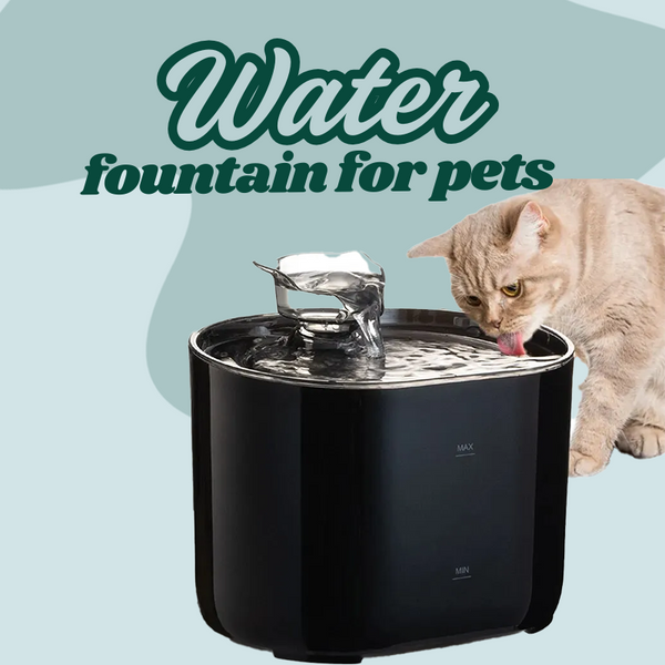 Cat Water Fountain Dispenser