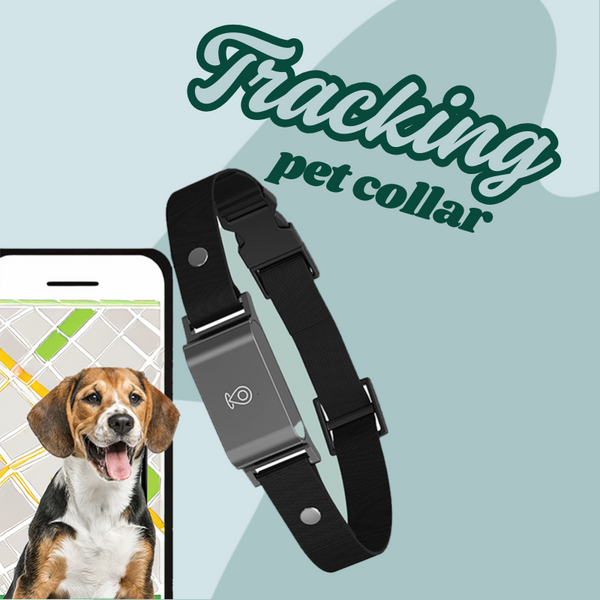 Pet Tracker Collar | GPS Anti-Lost Real Time Tracking